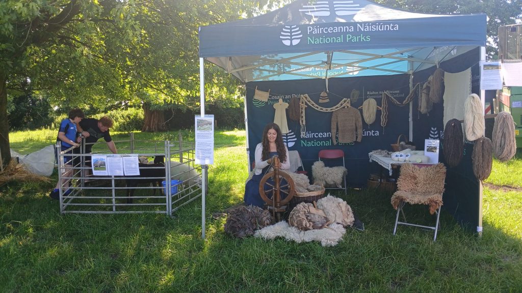 The display at the Farming for Nature event including sheep, tent, spinning, roving, products, wool, literature, etc.
