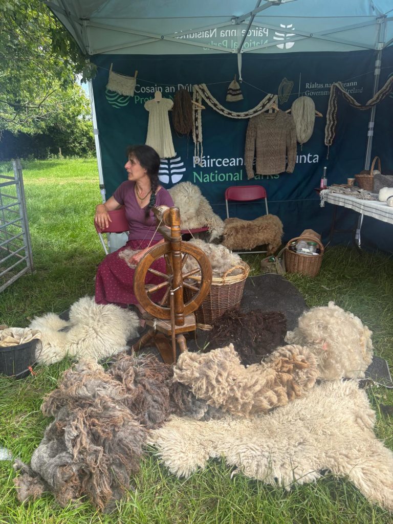 Mona spinning. Examples of roving in front of the wheel. Items made from the wool behind her in the tent