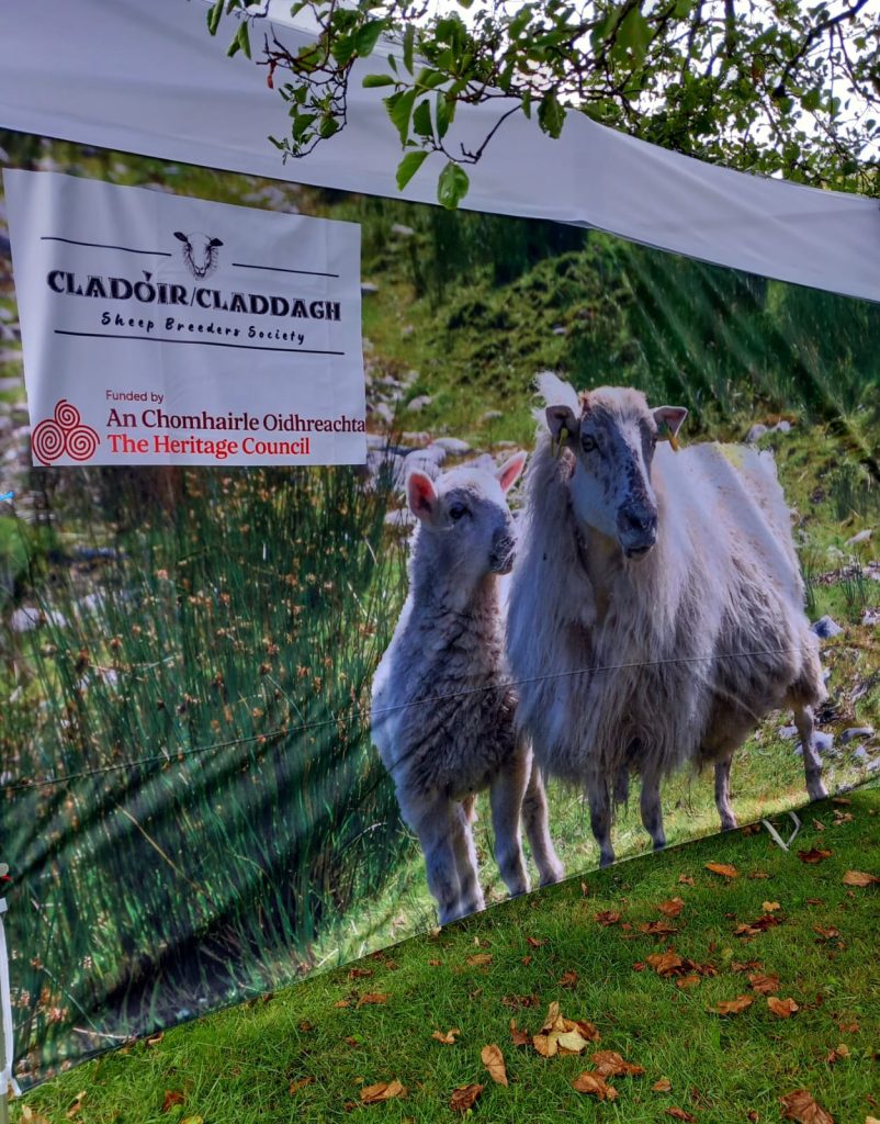 Close up of image of ewe and lamb with new logo and The Heritage Council logo
