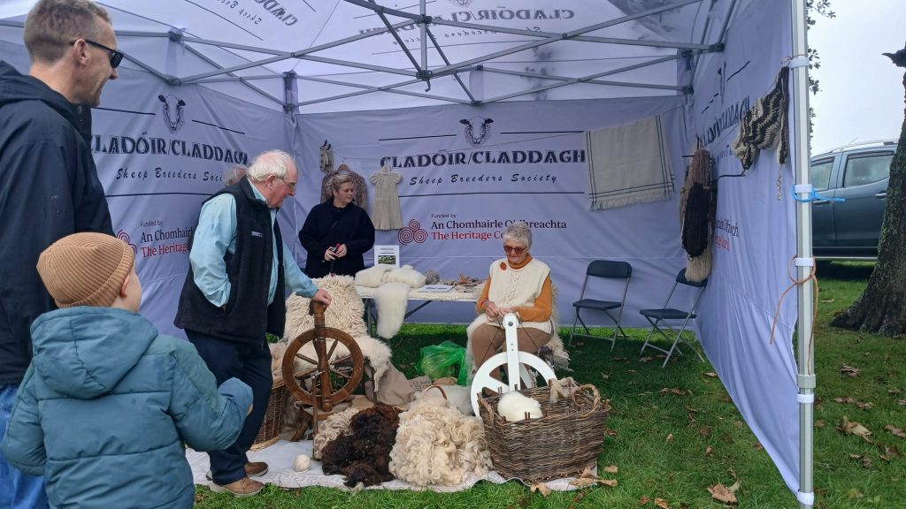 Visitors at Cladoir gazebo with Sandra spinning wool